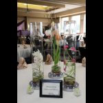 Gallery Image: Event Center